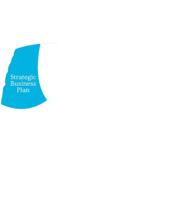 methodology strategic business plan
